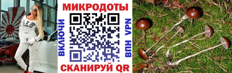 Галлюциногенные грибы MAGIC MUSHROOMS купить Чишмы
